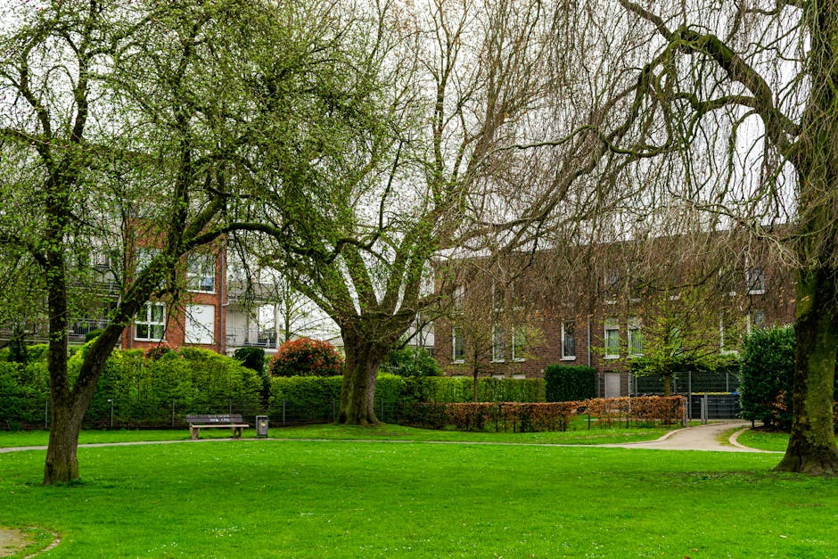 A landscaped urban park scene featuring three mature trees with textured trunks and spreading branches, some of which are leafless while others have sparse green foliage. The trees are situated on a well-maintained grassy area, with the grass appearing lush and evenly trimmed. In the background, there are modern residential buildings with brick facades and multiple windows, partially obscured by neatly trimmed hedges and shrubs. A paved curved pathway runs through the park, leading towards the buildings. To the left, a wooden bench is positioned under the shade of one tree, alongside a small black trash bin. The overall atmosphere is calm and orderly, with natural light filtering through the overcast sky, creating a soft, diffuse illumination. This scene subtly relates to outdoor waste management and private rubbish collection services provided by Rubbish Removal Tufnell Park, emphasizing the importance of tidy, well-maintained communal green spaces using professional rubbish clearance solutions.
